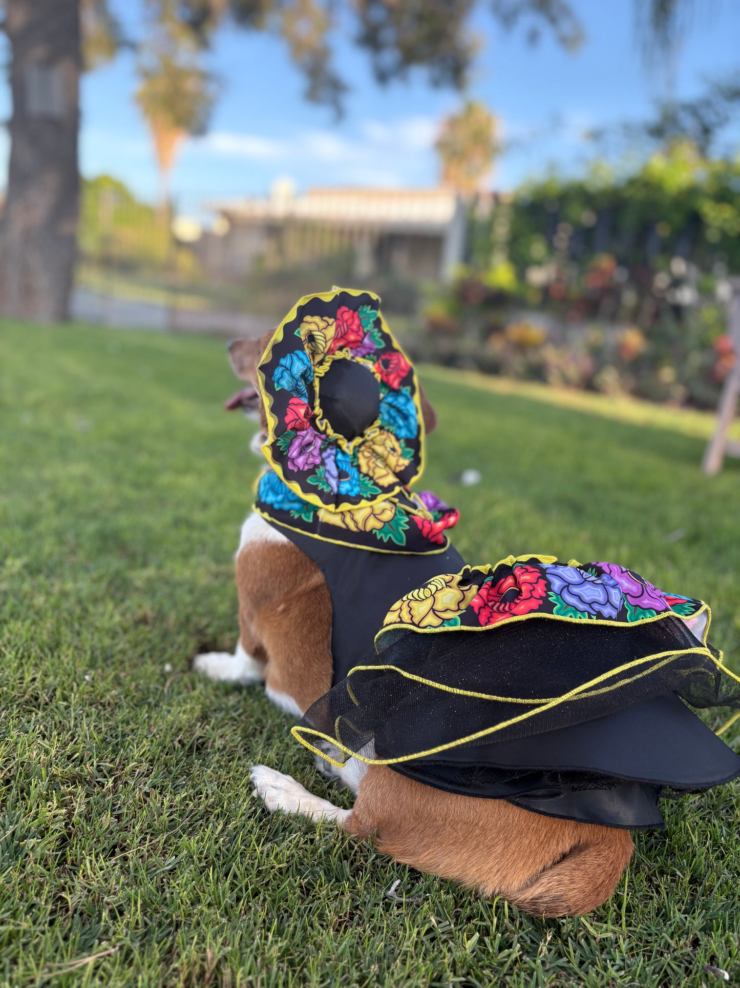 Día de los muertos sombrero