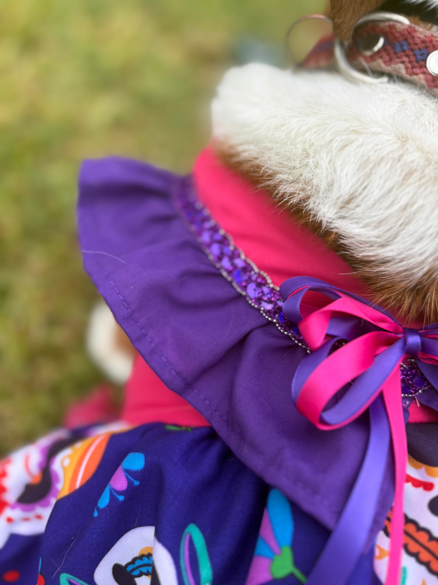 Día de los muertos dress