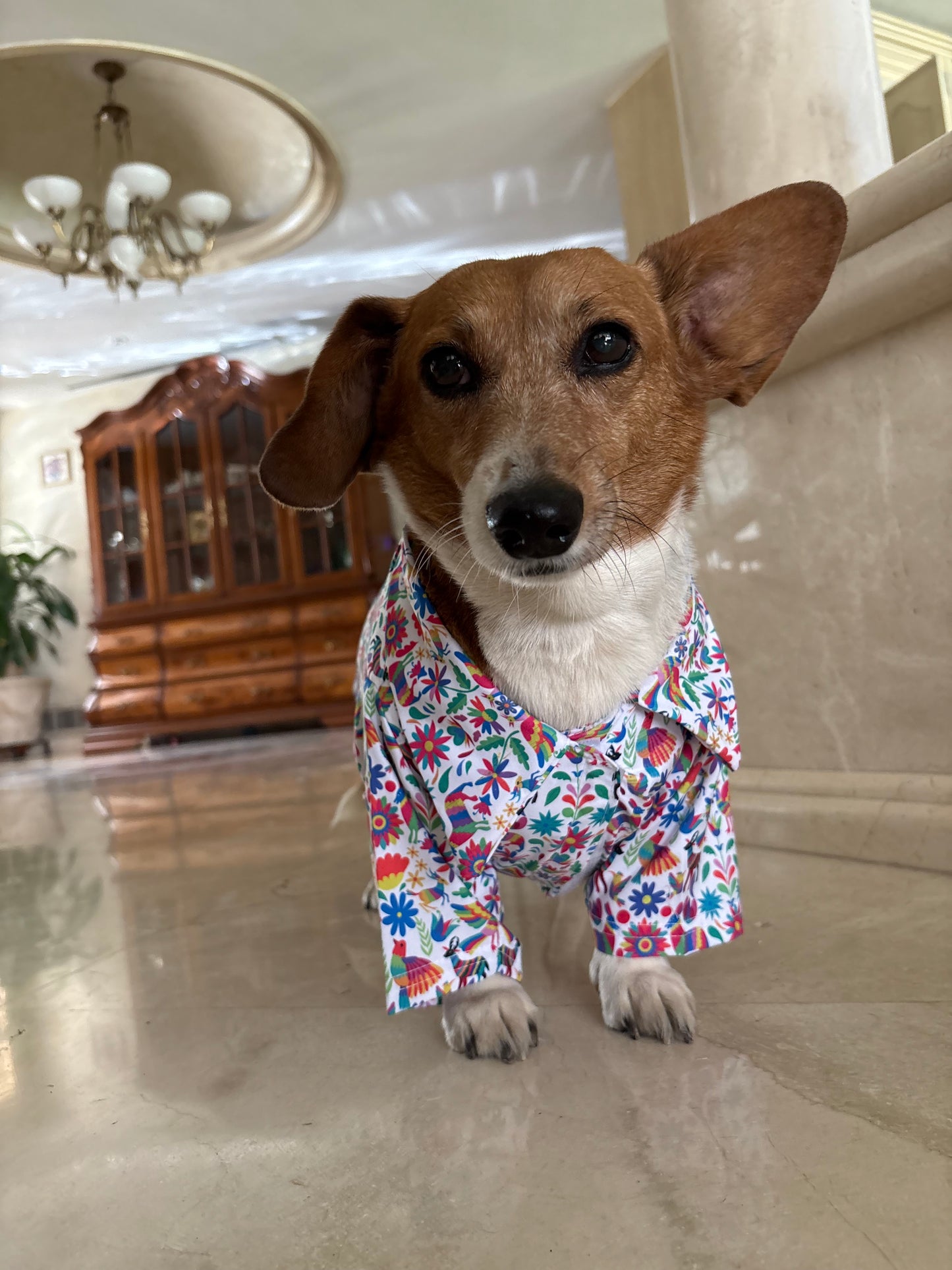 Otomi shirt