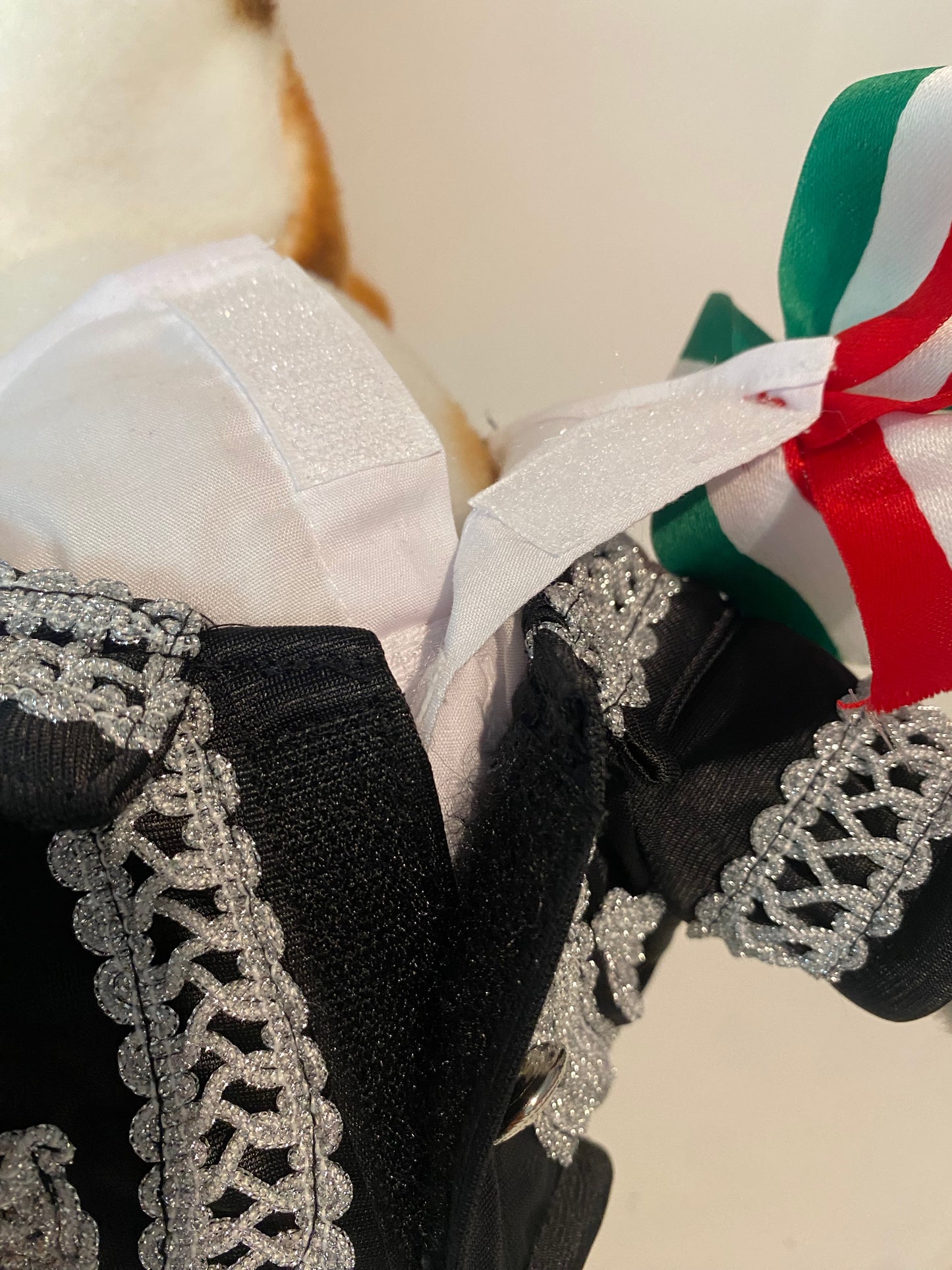 New Mariachi Costume