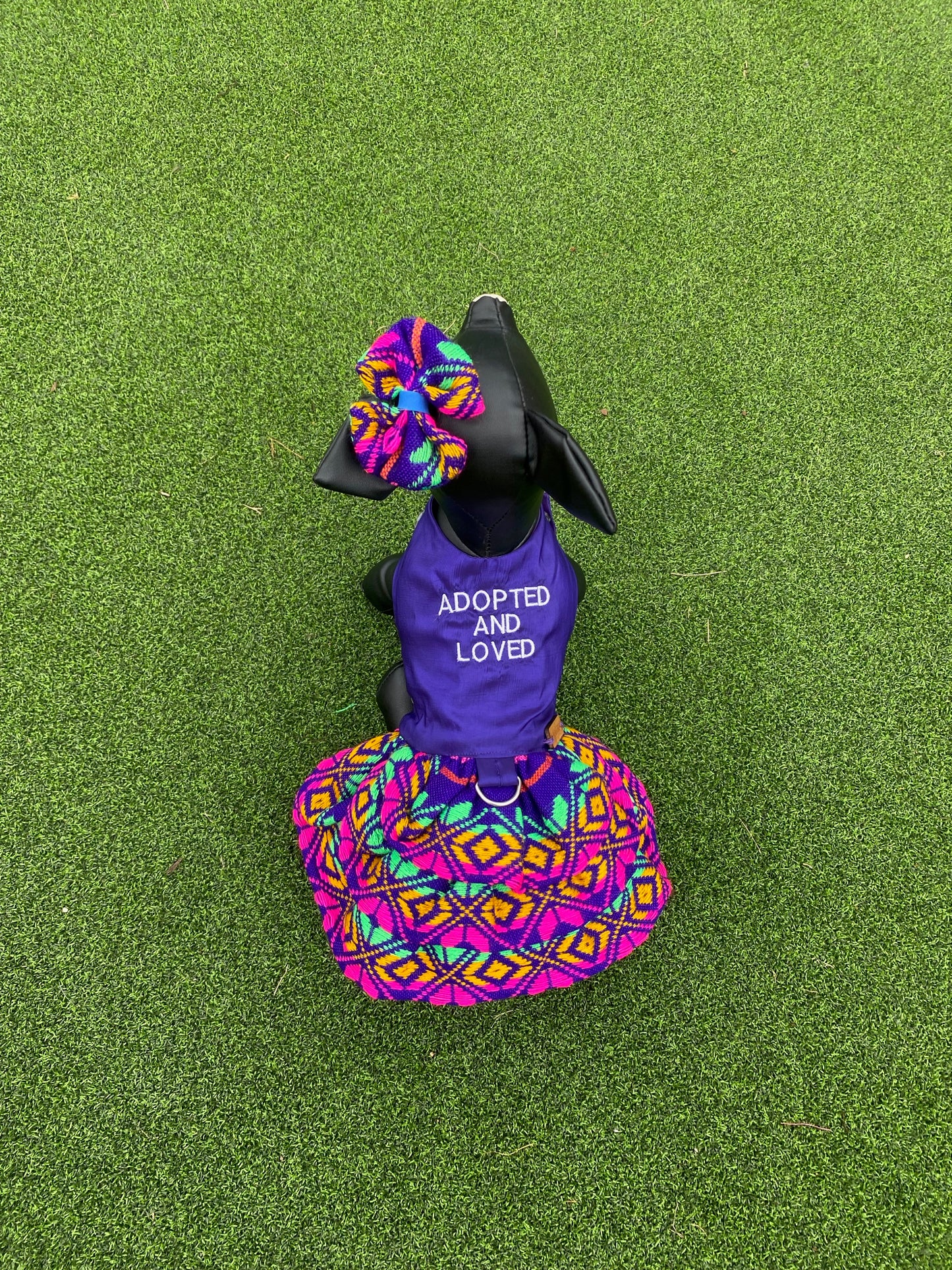 Adopted and Loved Dress
