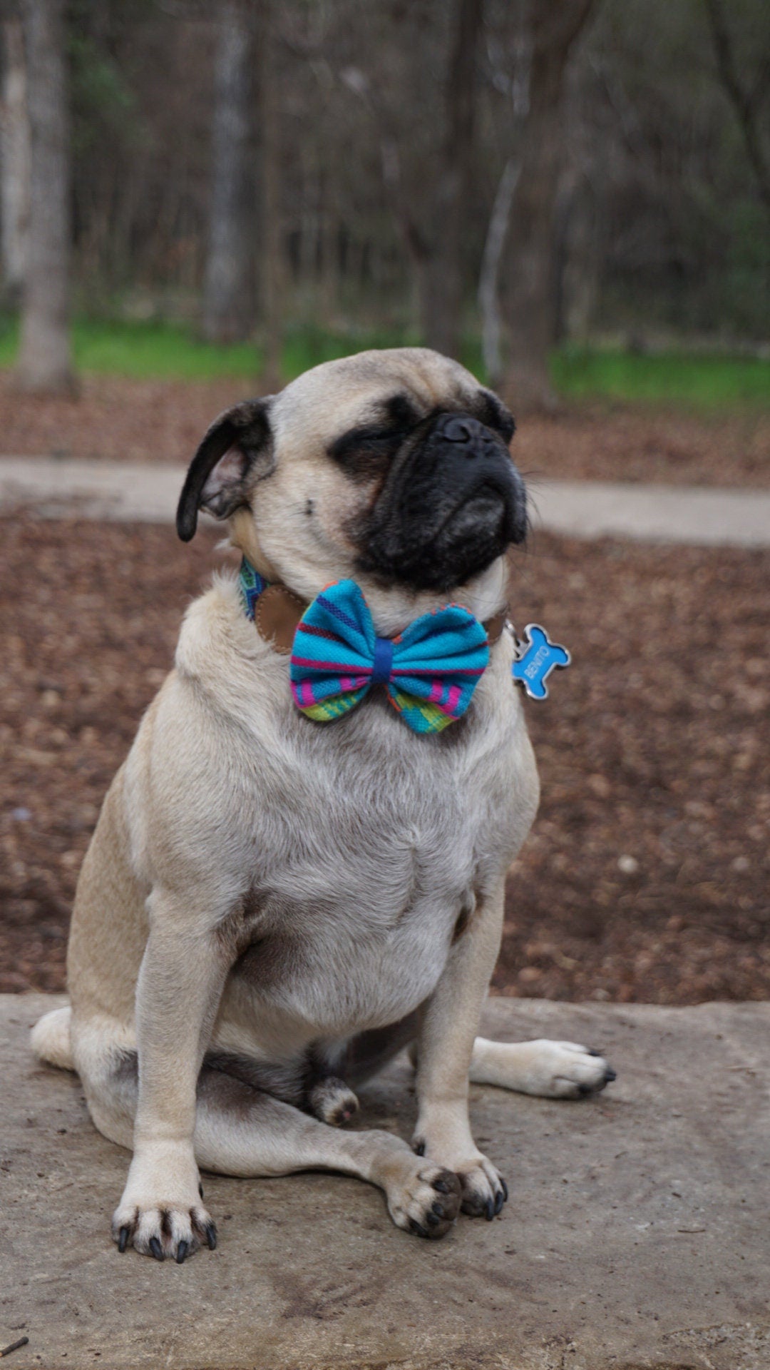 Blue Bow