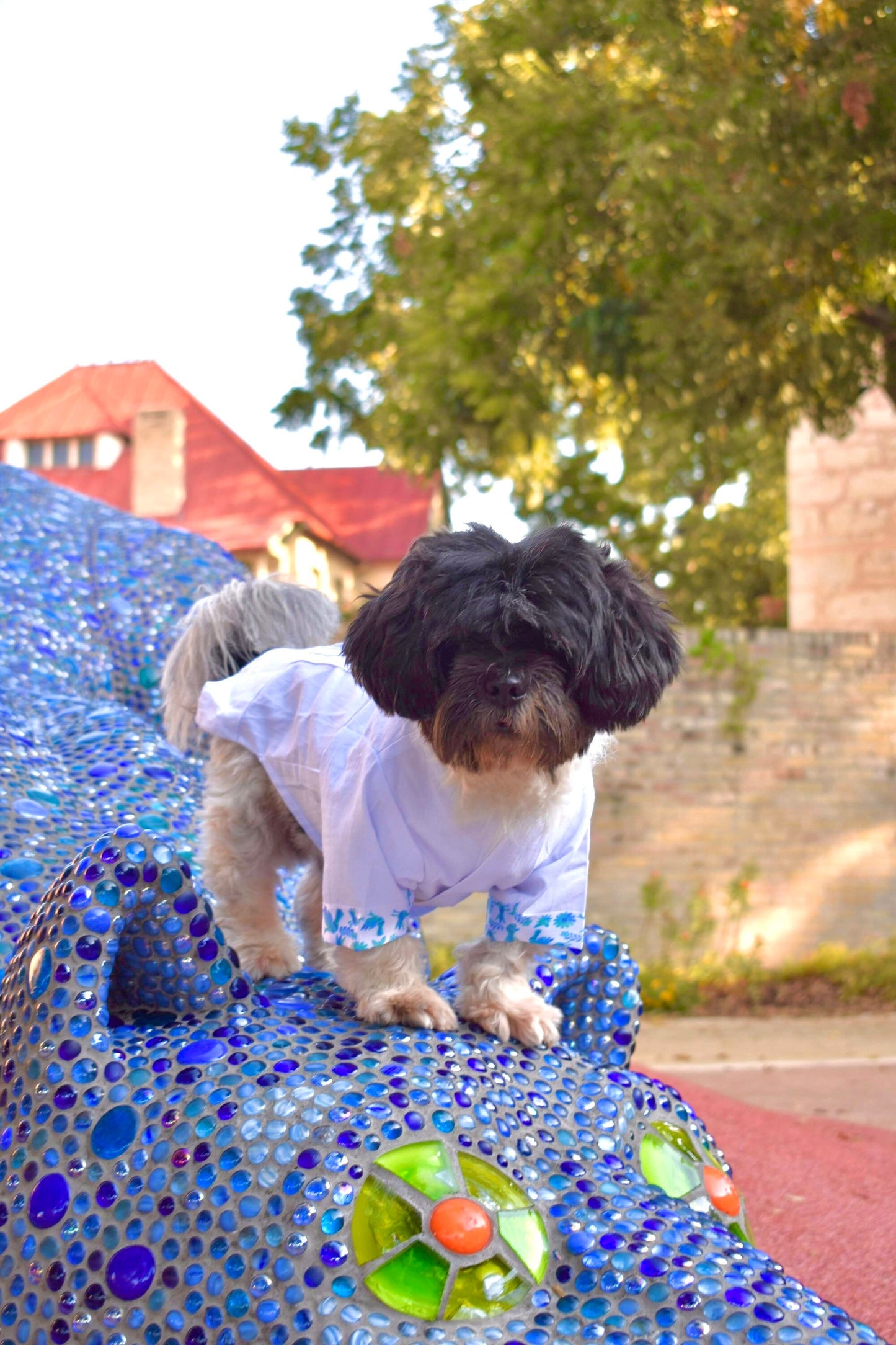 Blue Otomi Dress and guayabera