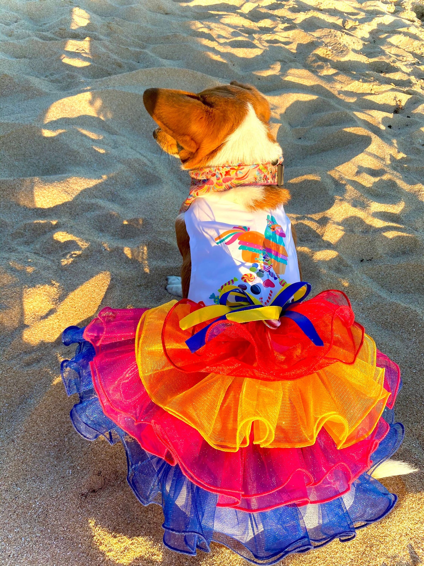 Piñata Dress