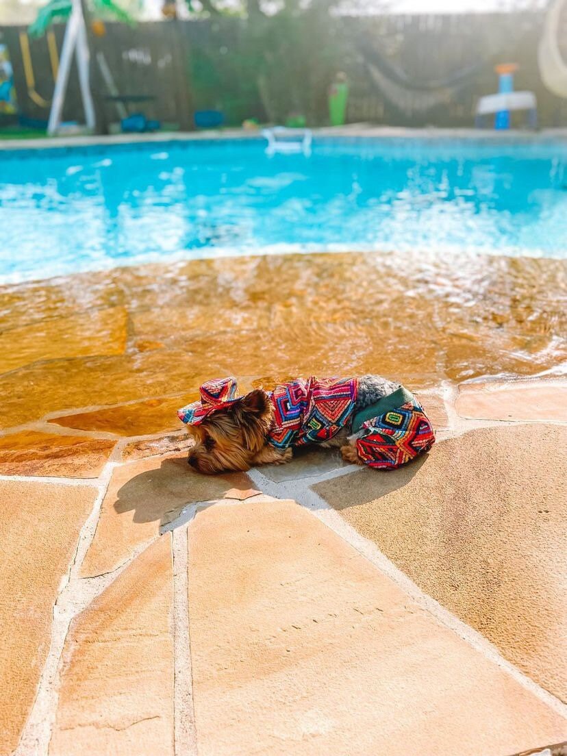 Pool Side Swimming trunks