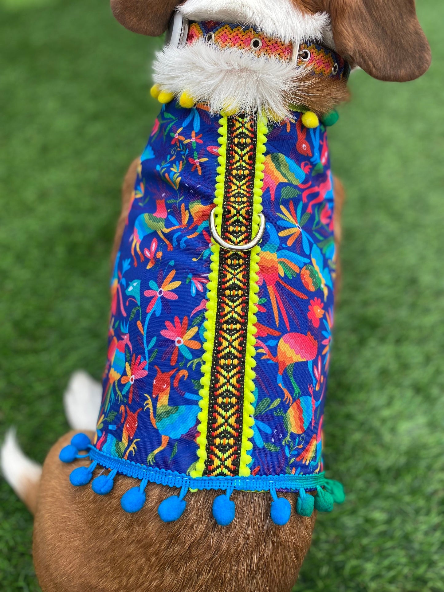 Blue colorful otomi Harness