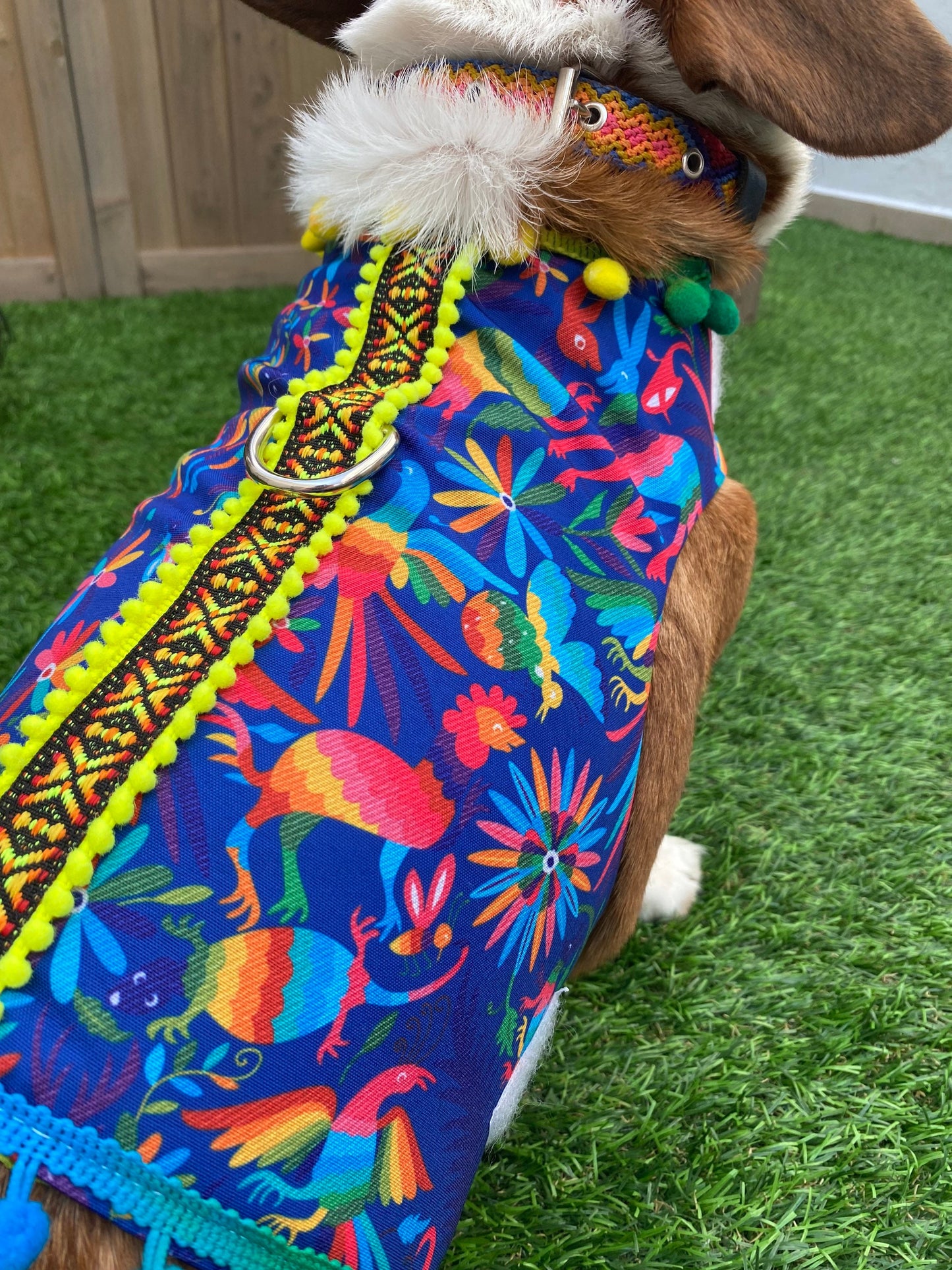 Blue colorful otomi Harness
