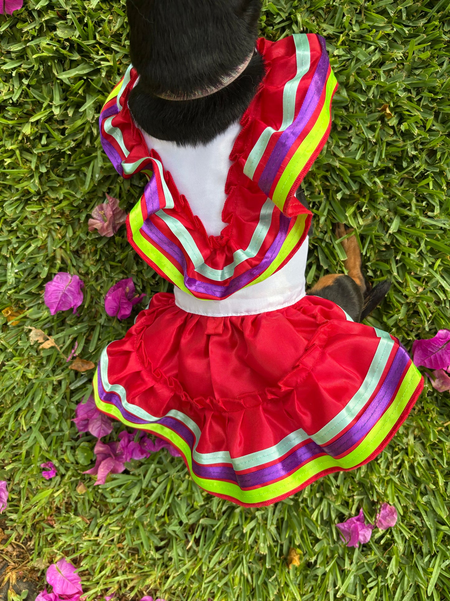 Escaramuza red dress