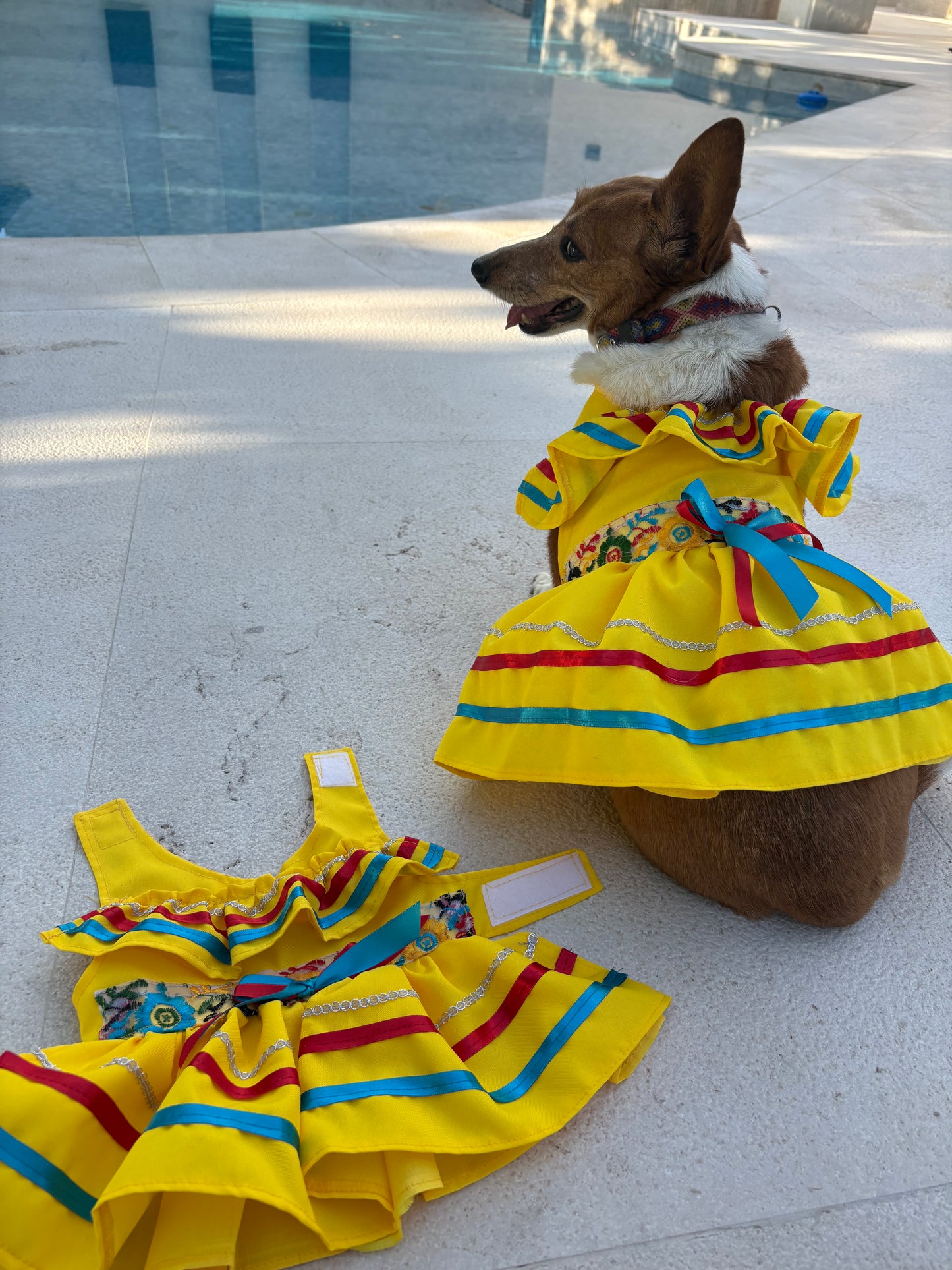 Maria Yellow dress