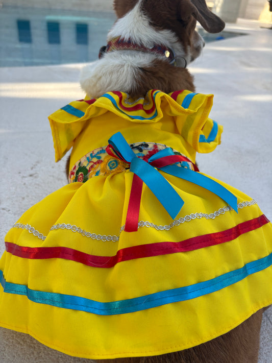 Maria Yellow dress
