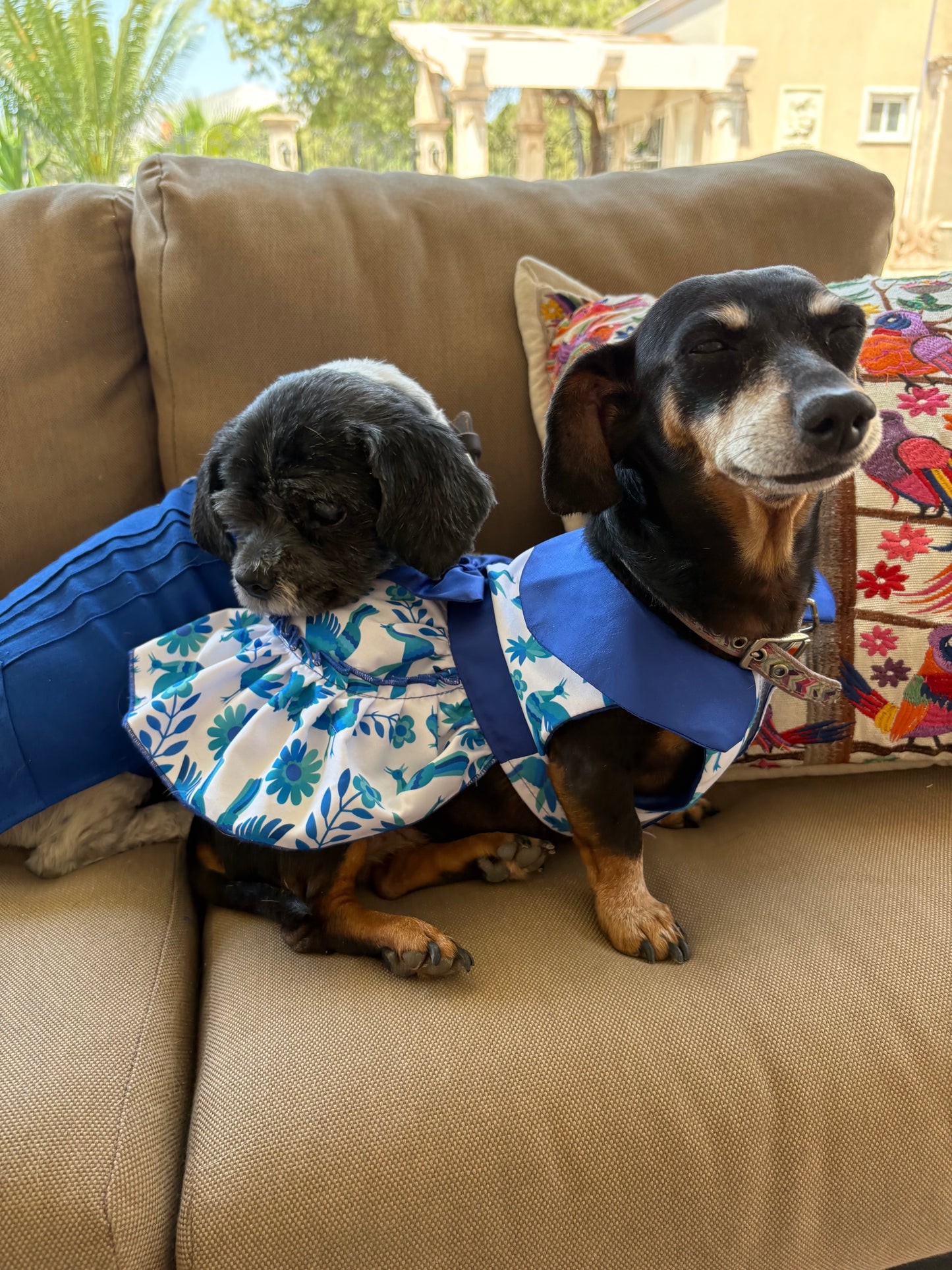 Blue otomi dress