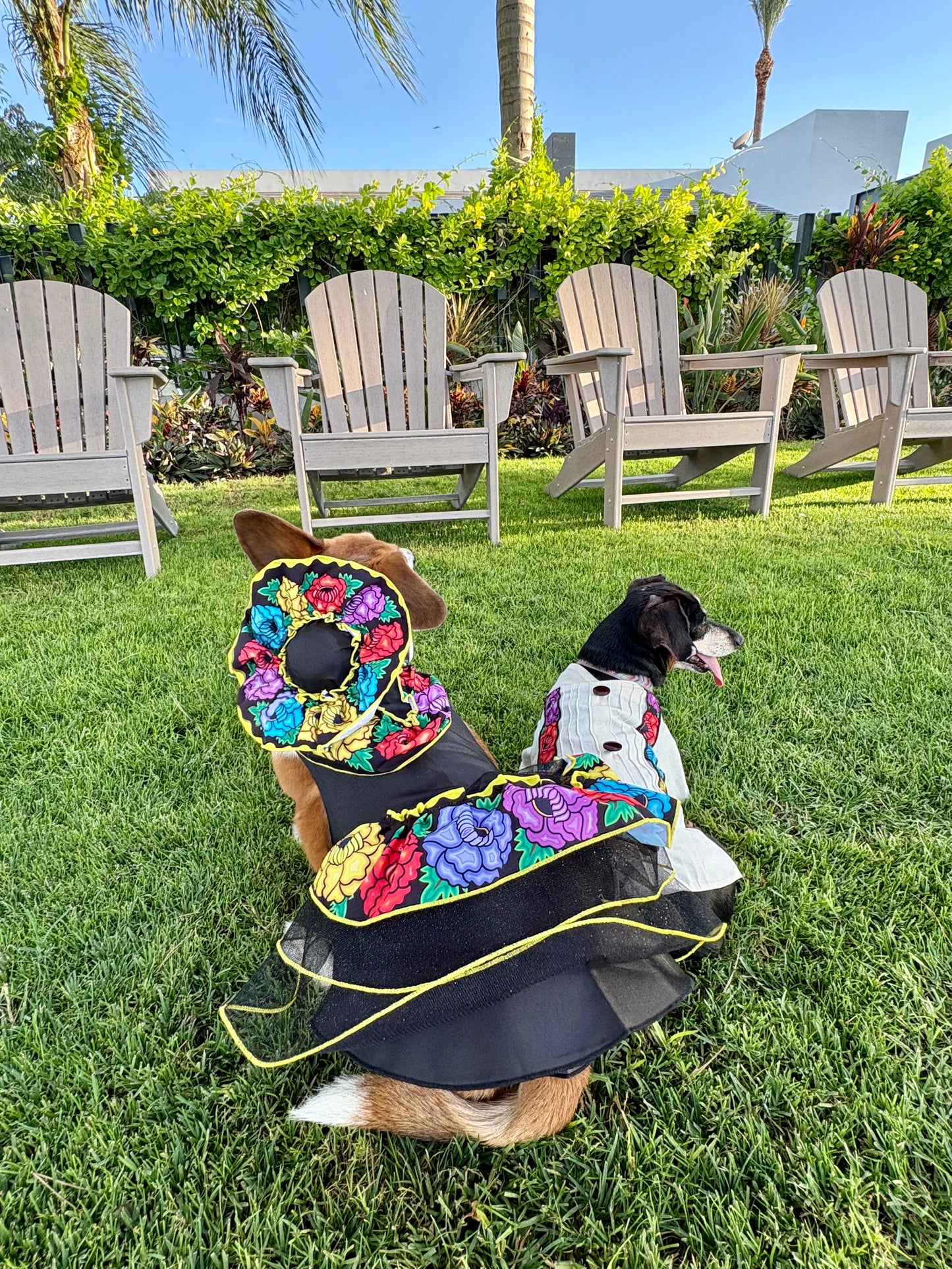 Catrina dress (hat sold separately)