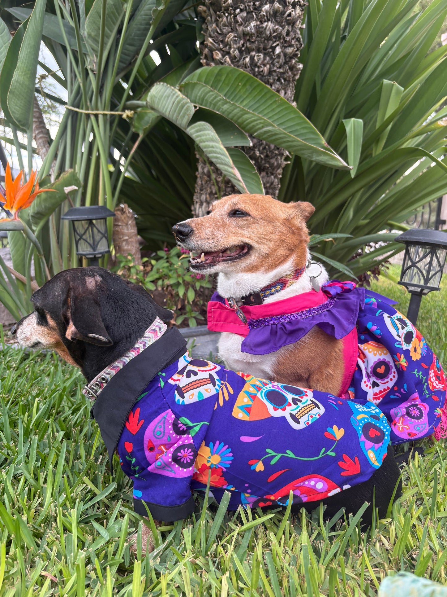 Día de los muertos shirt