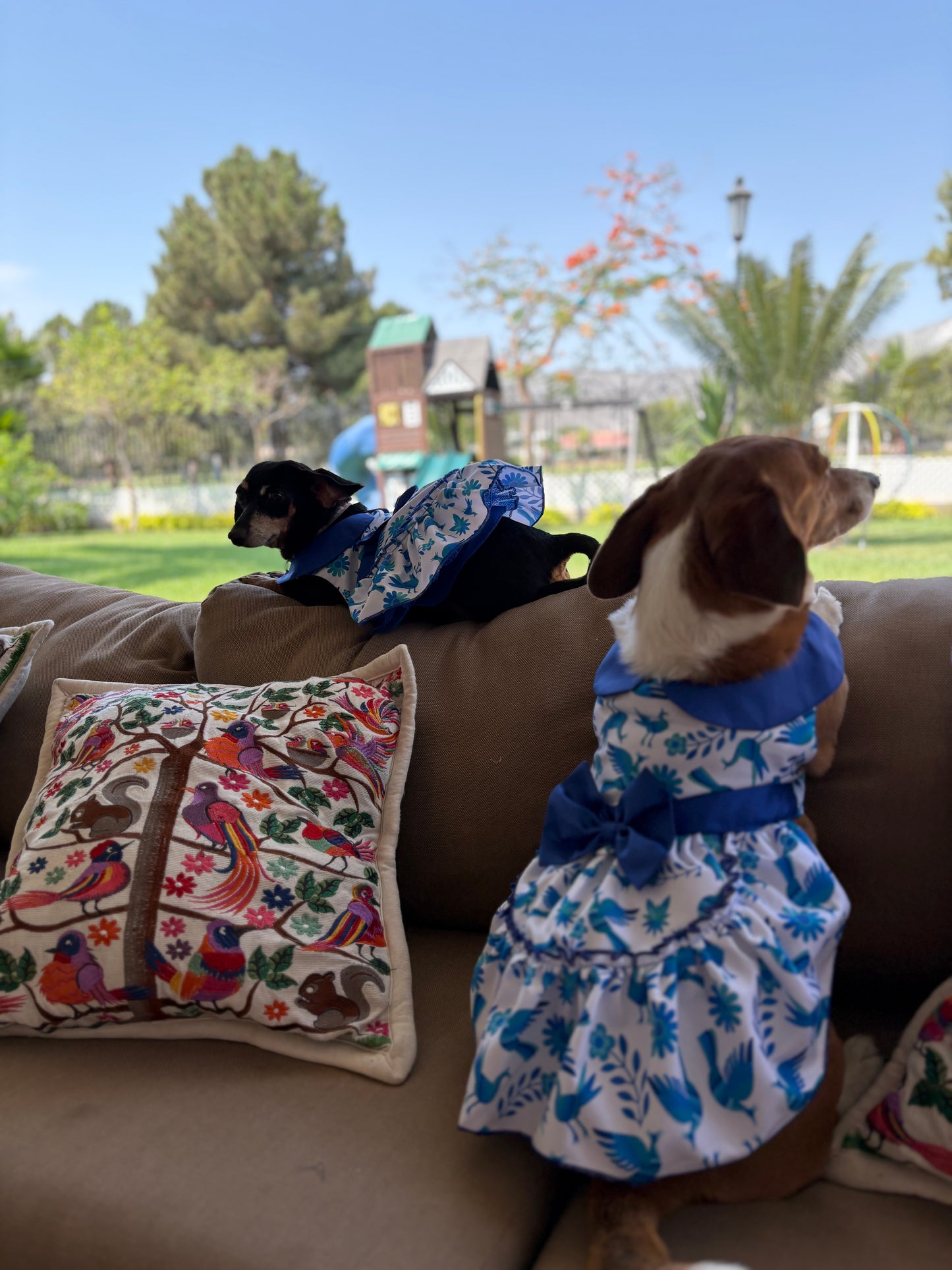 Blue otomi dress