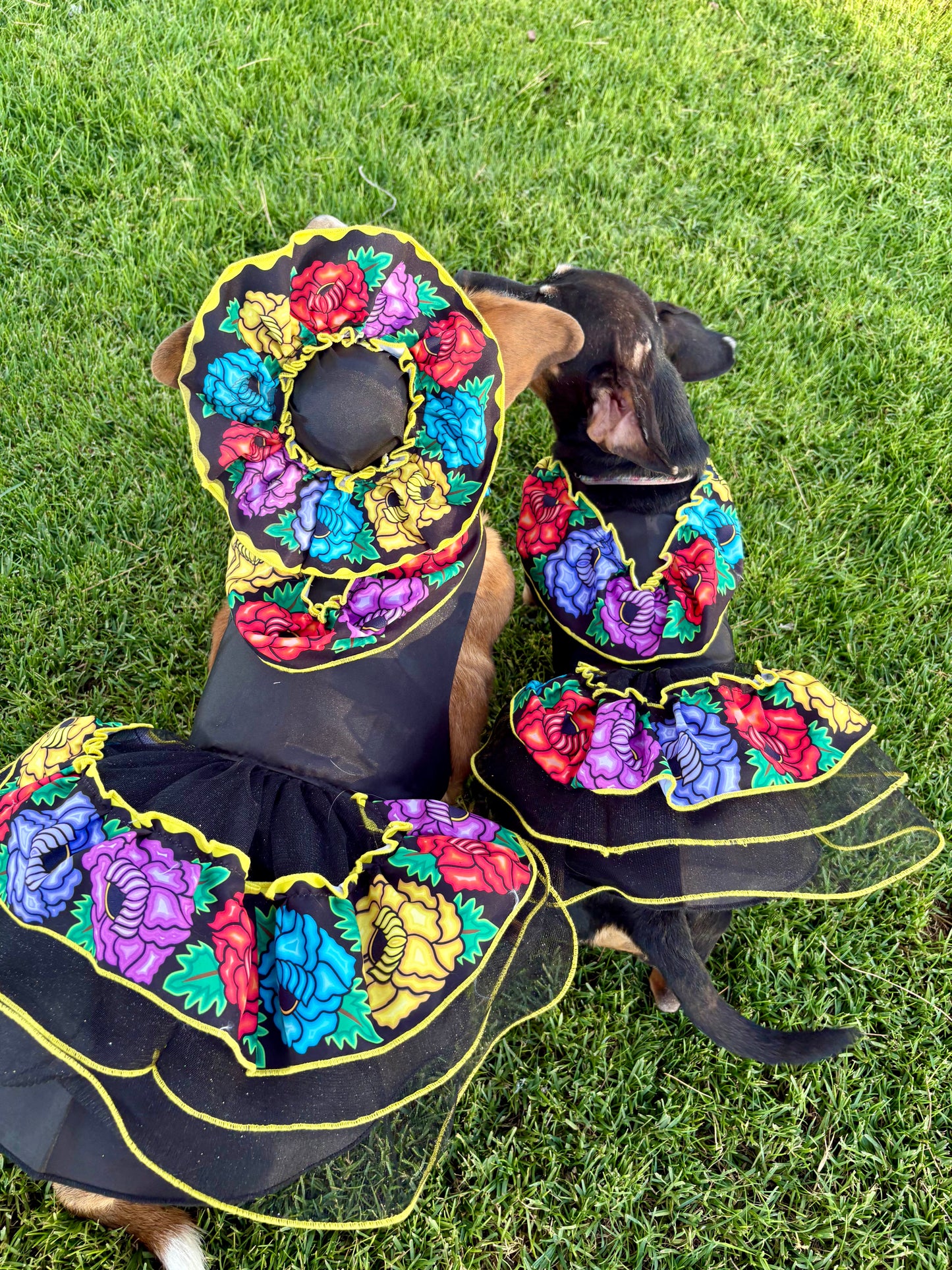 Catrina dress (hat sold separately)