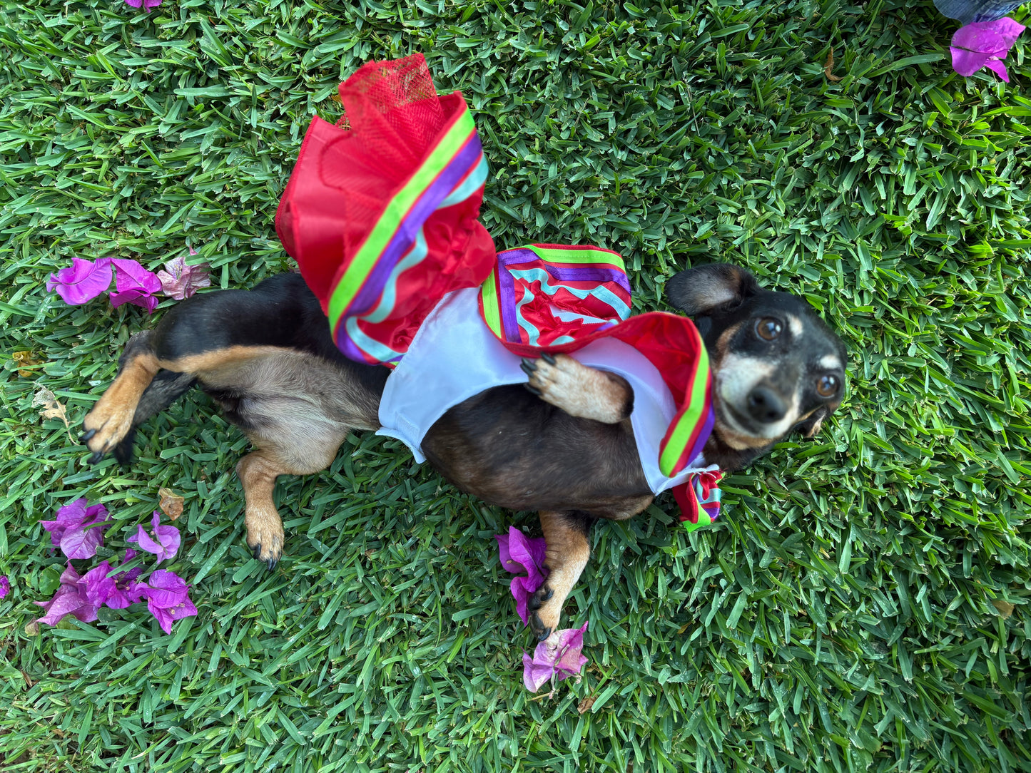 Escaramuza red dress