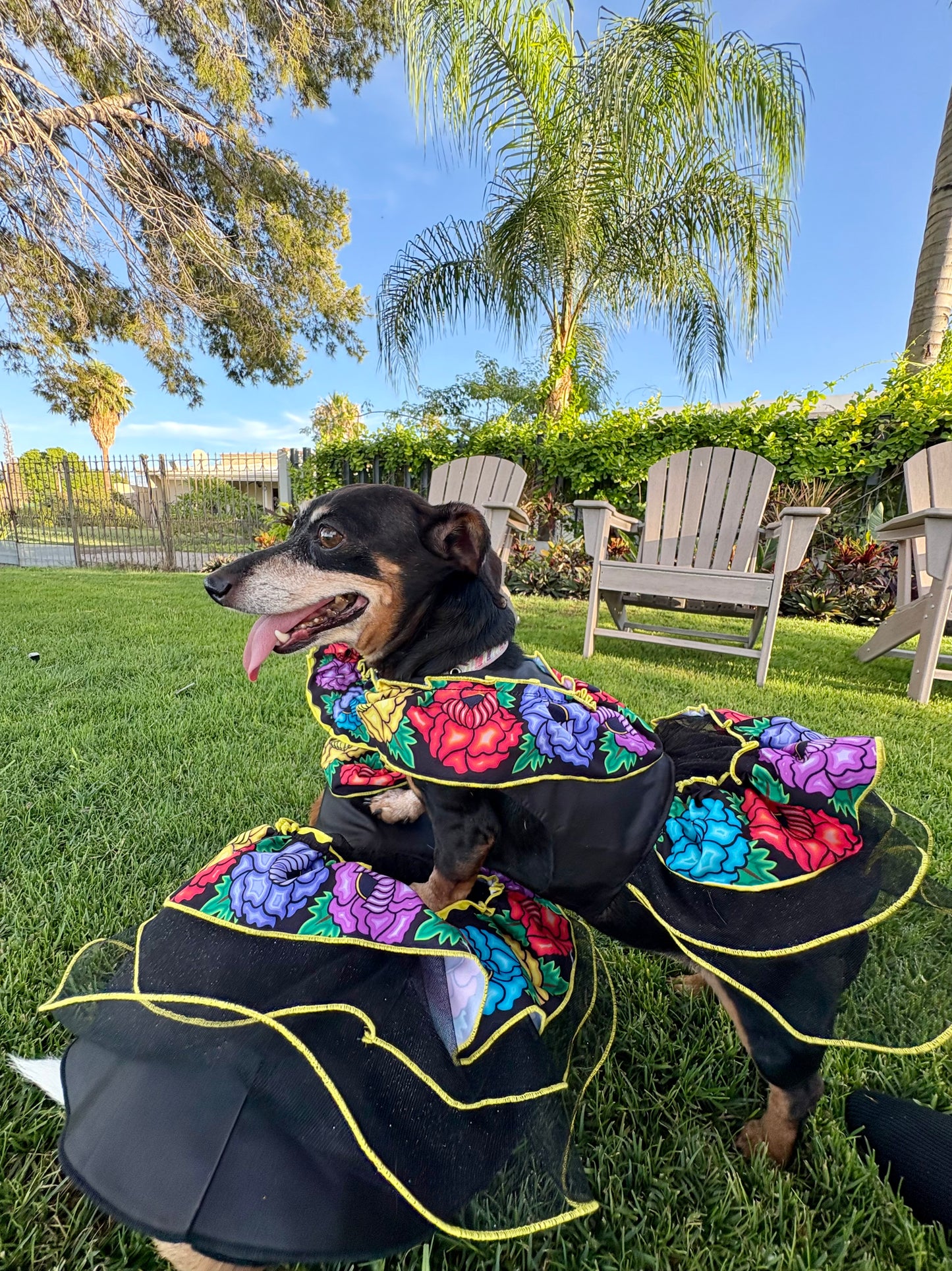 Catrina dress (hat sold separately)