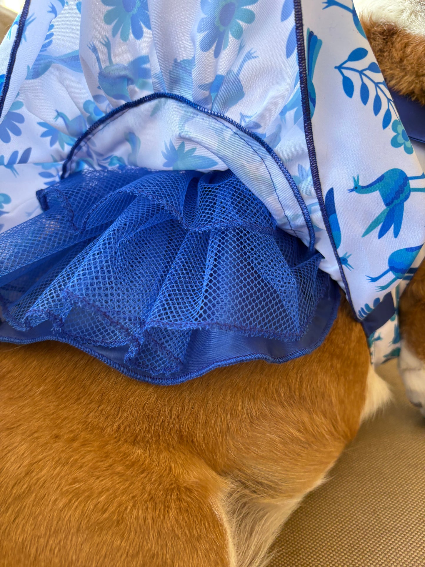 Blue otomi dress