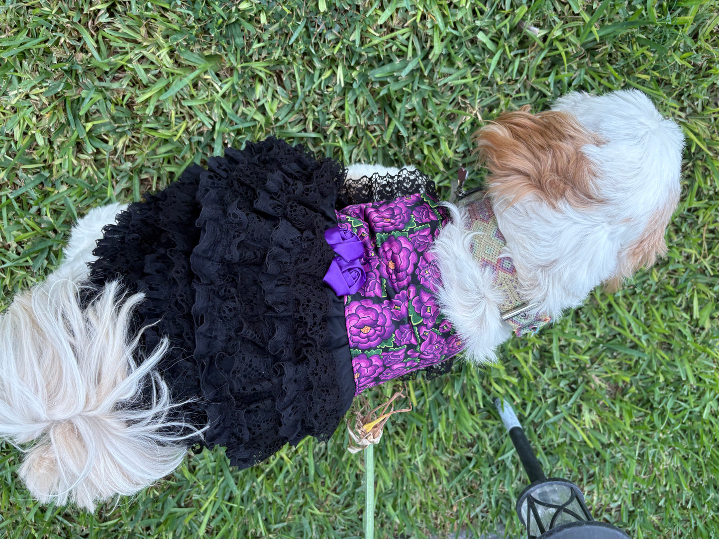 Purple flowers dress