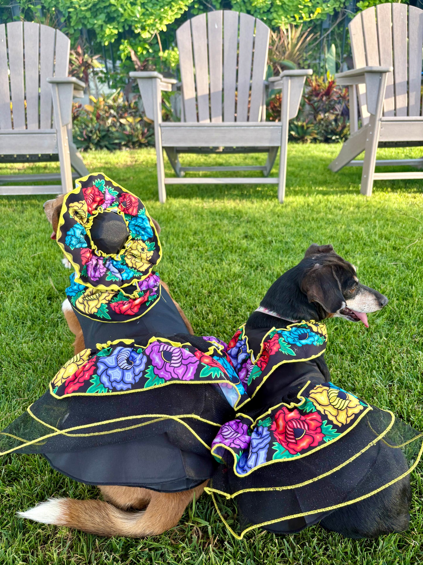 Catrina dress (hat sold separately)