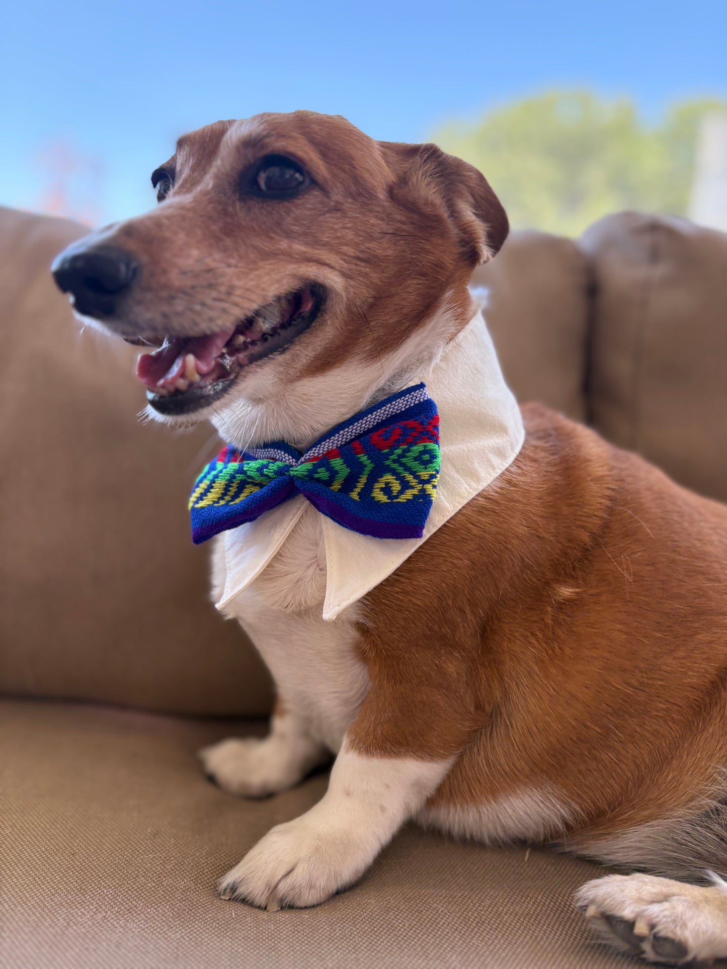 Shirt collar with bow tie