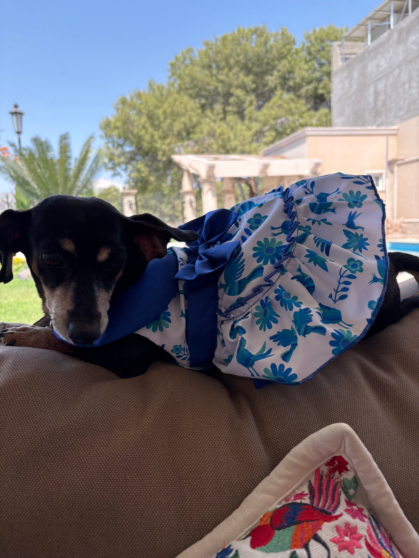 Blue otomi dress