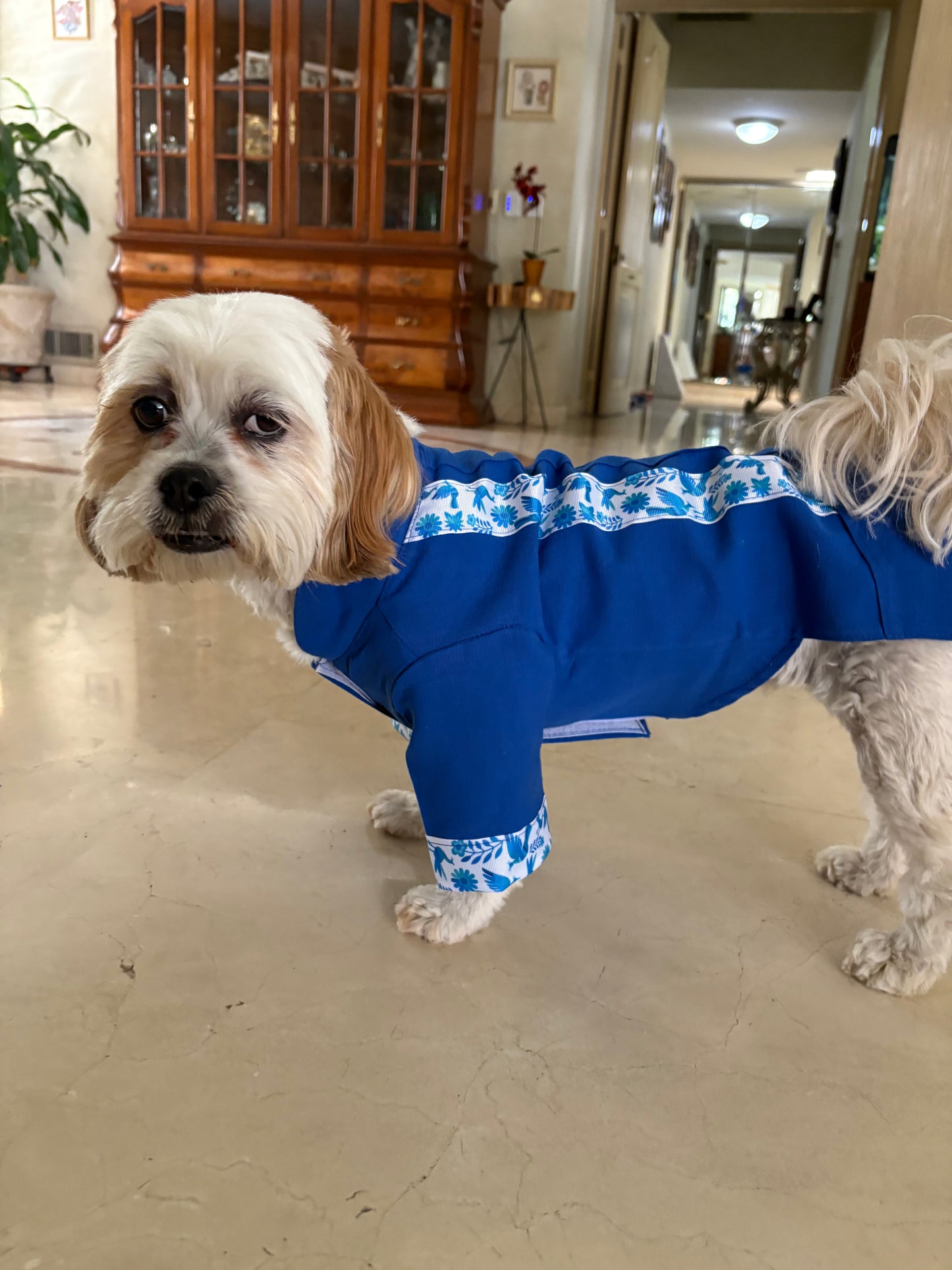 Blue otomi guayabera