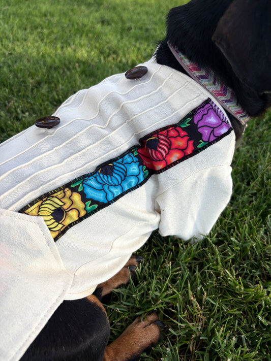 Catrín guayabera