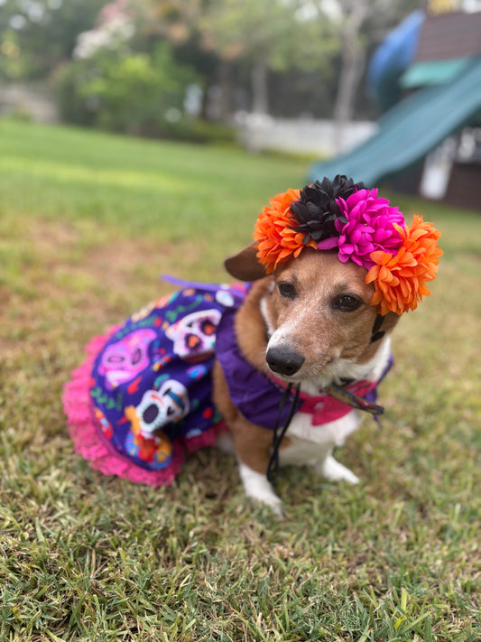 Flower crown