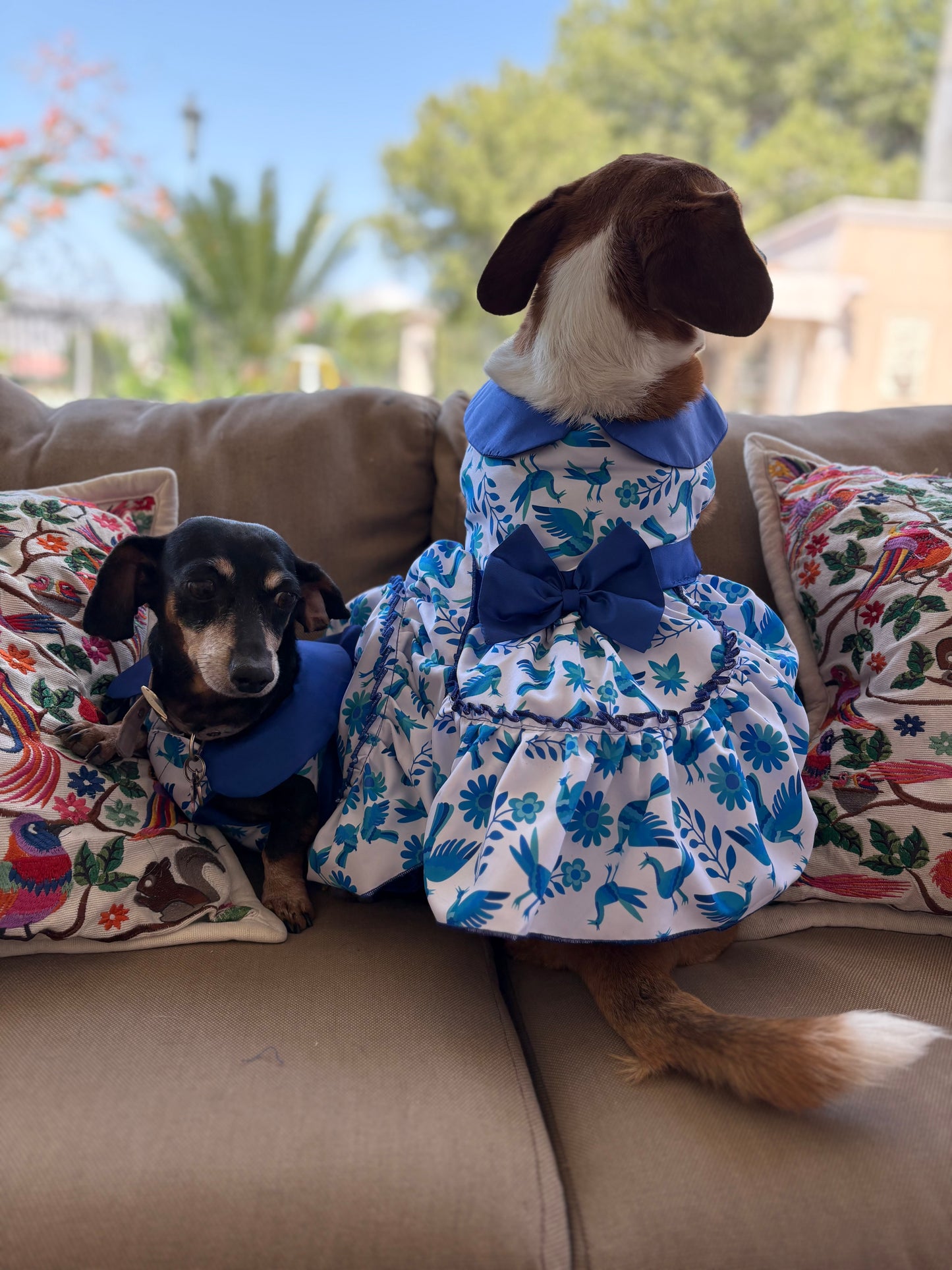 Blue otomi dress