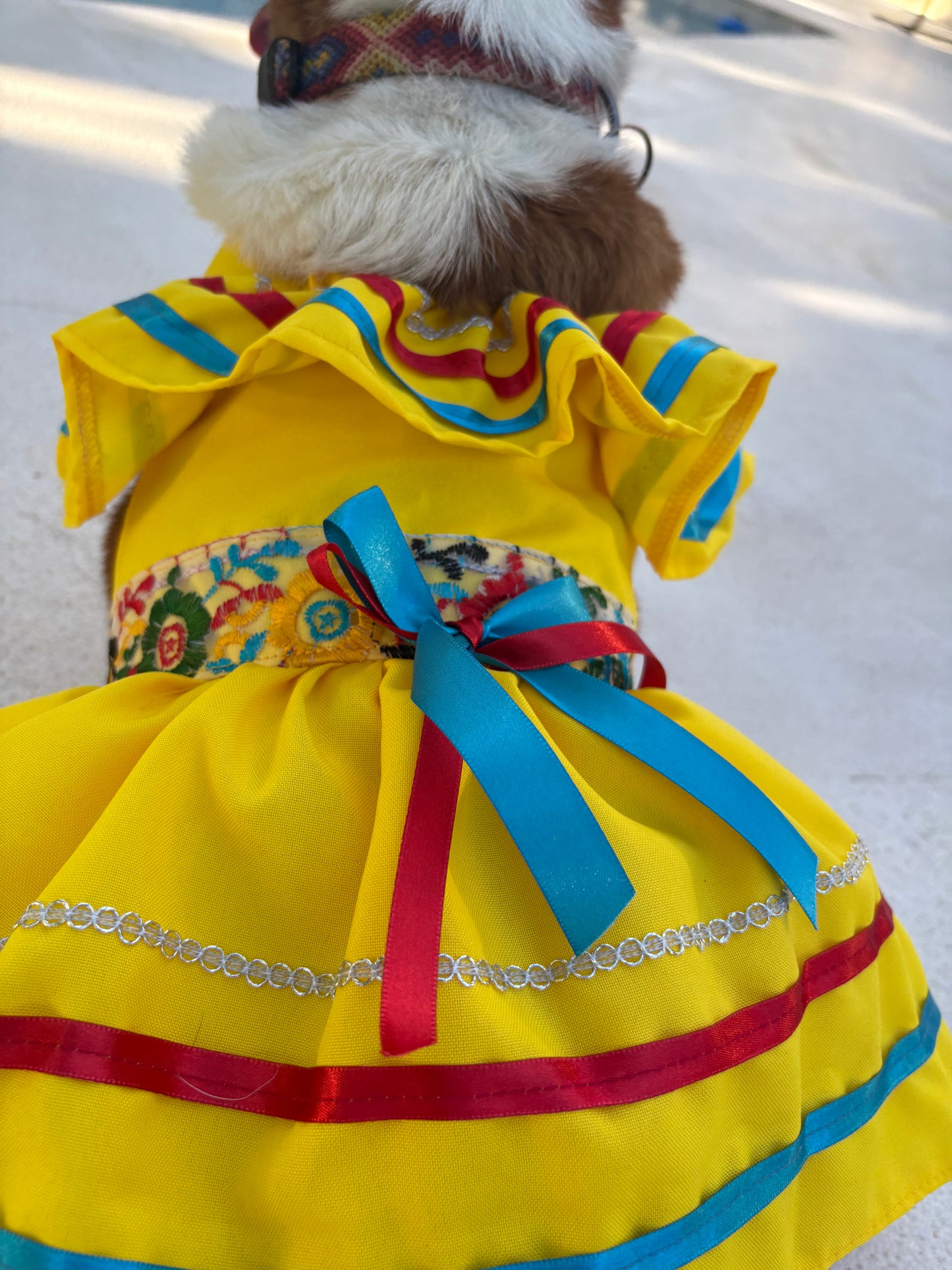 Maria Yellow dress
