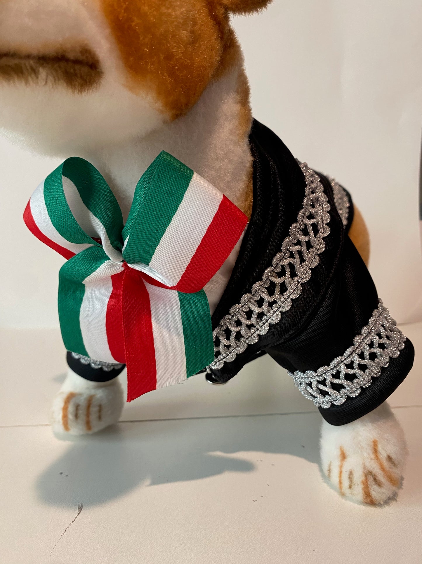 New Mariachi Costume