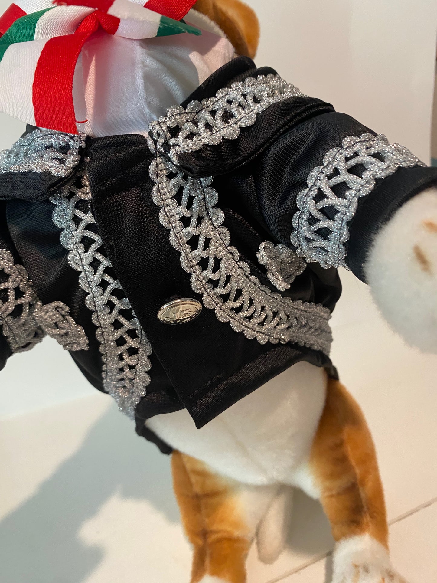 New Mariachi Costume