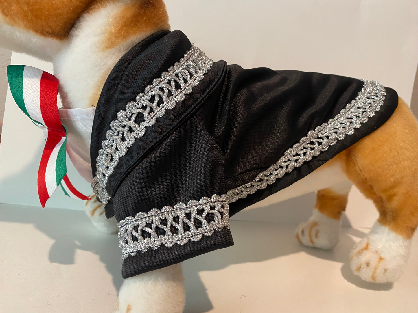 New Mariachi Costume