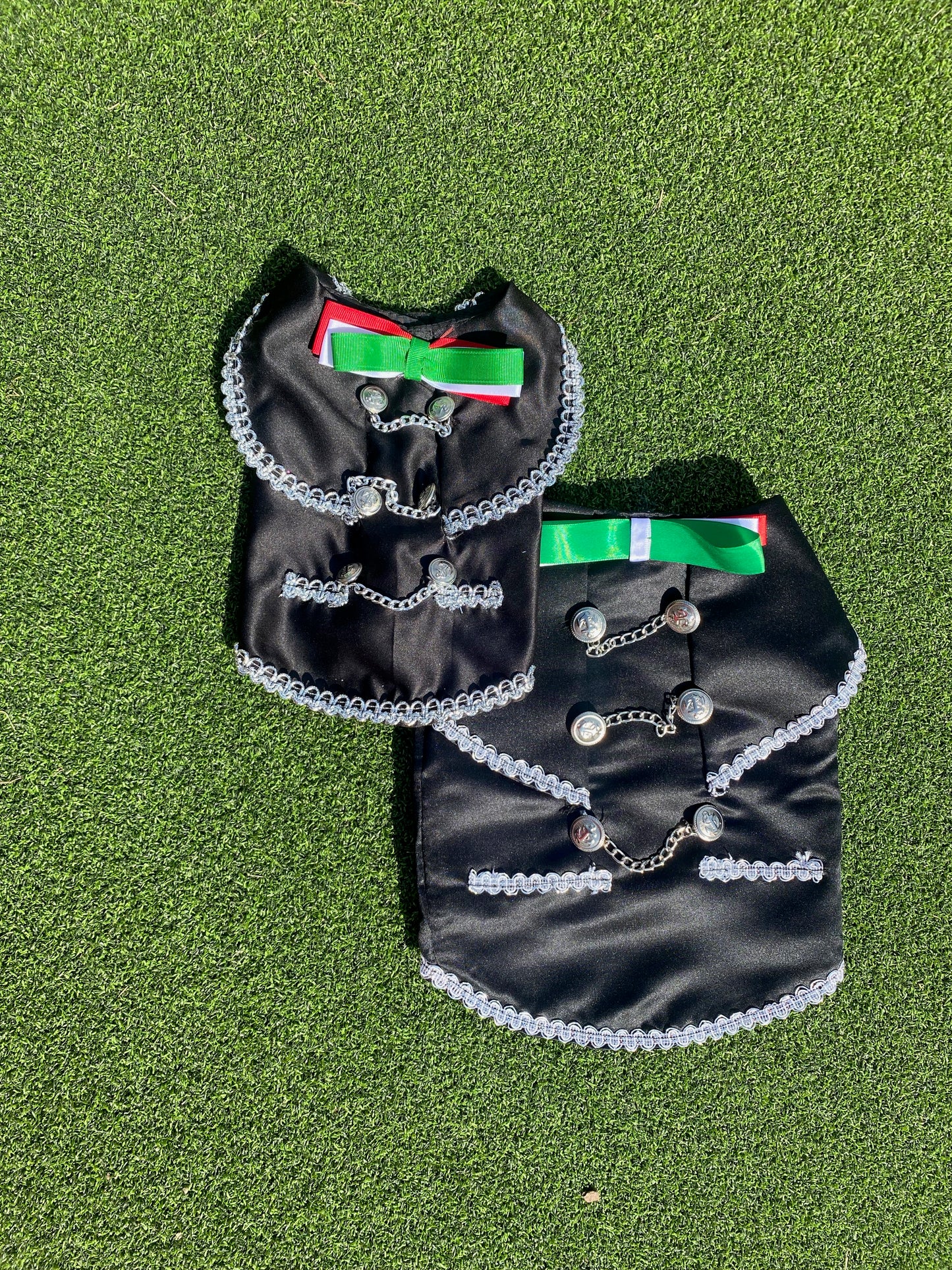 Mariachi Costume