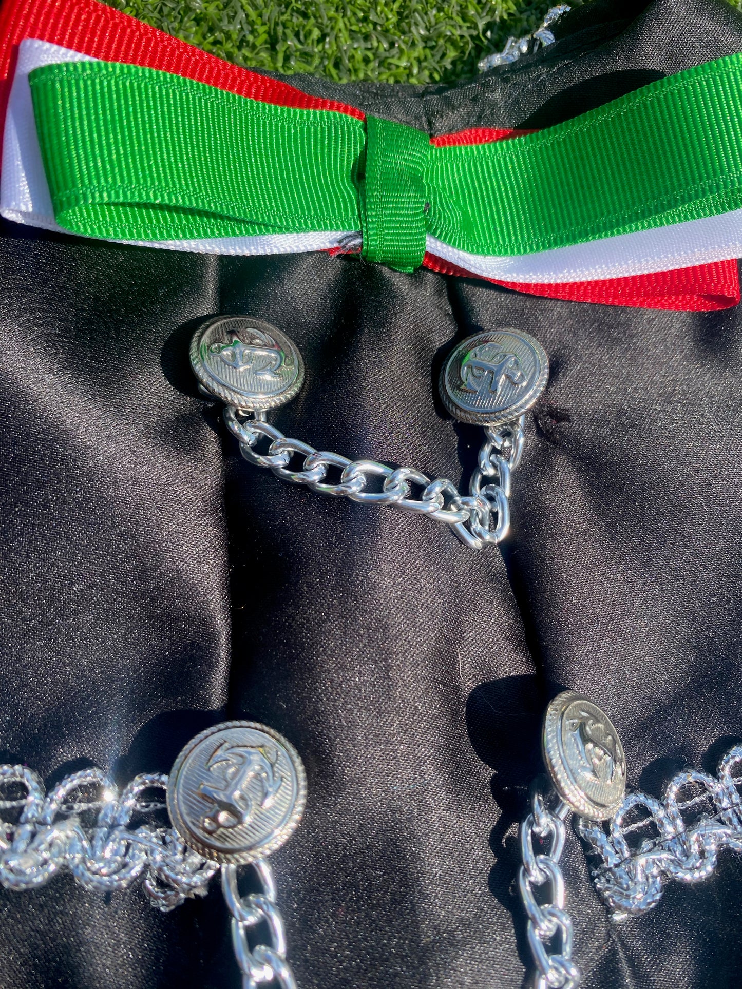 Mariachi Costume