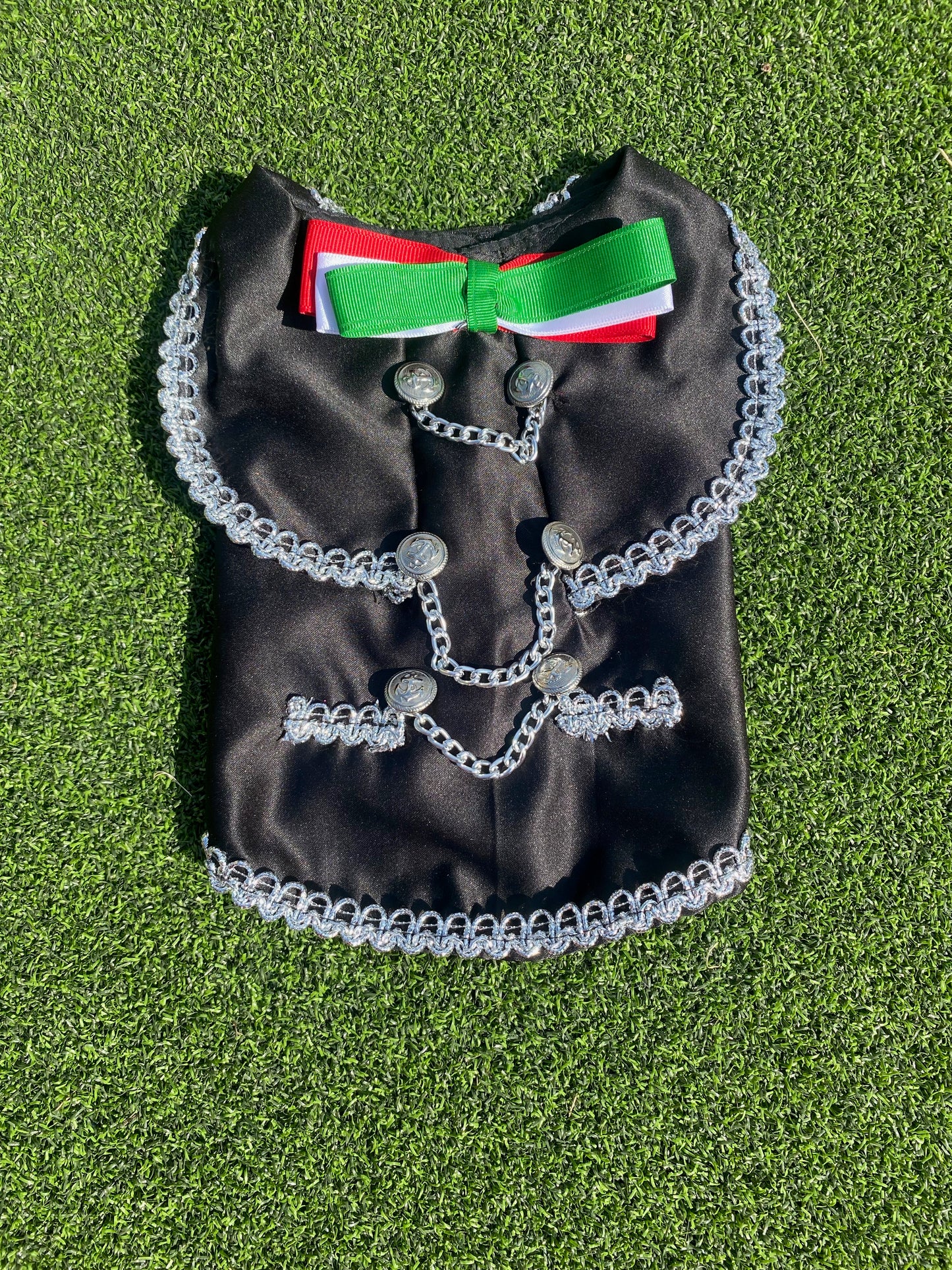 Mariachi Costume