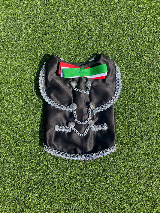Mariachi Costume