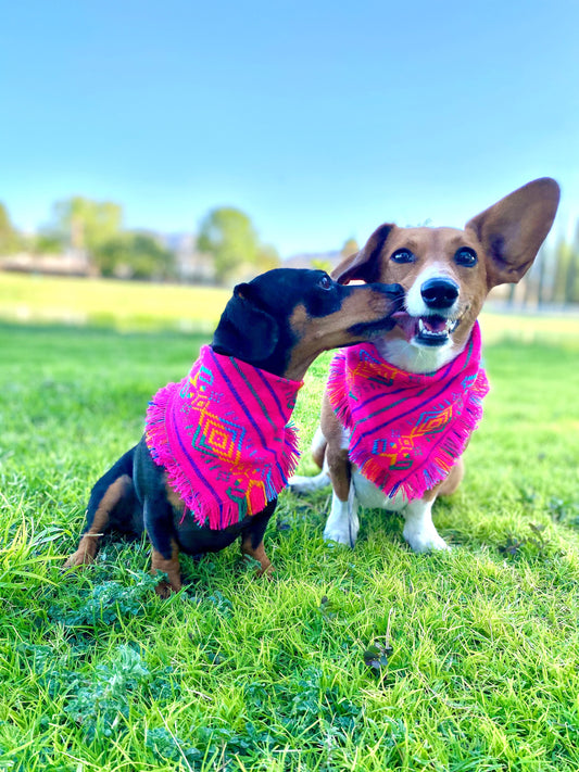 Pink Geometric Bandana