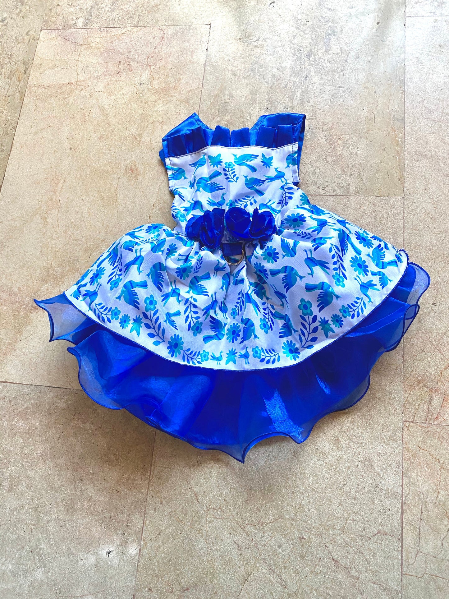 Blue Otomi Dress and guayabera