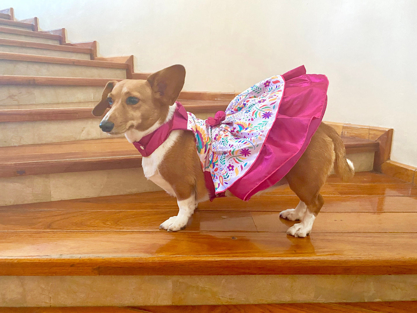 Viva Mexico Dress Pink and Guayabera