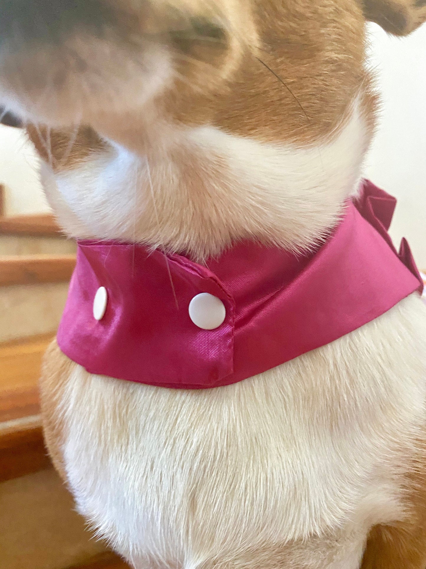 Viva Mexico Dress Pink and Guayabera