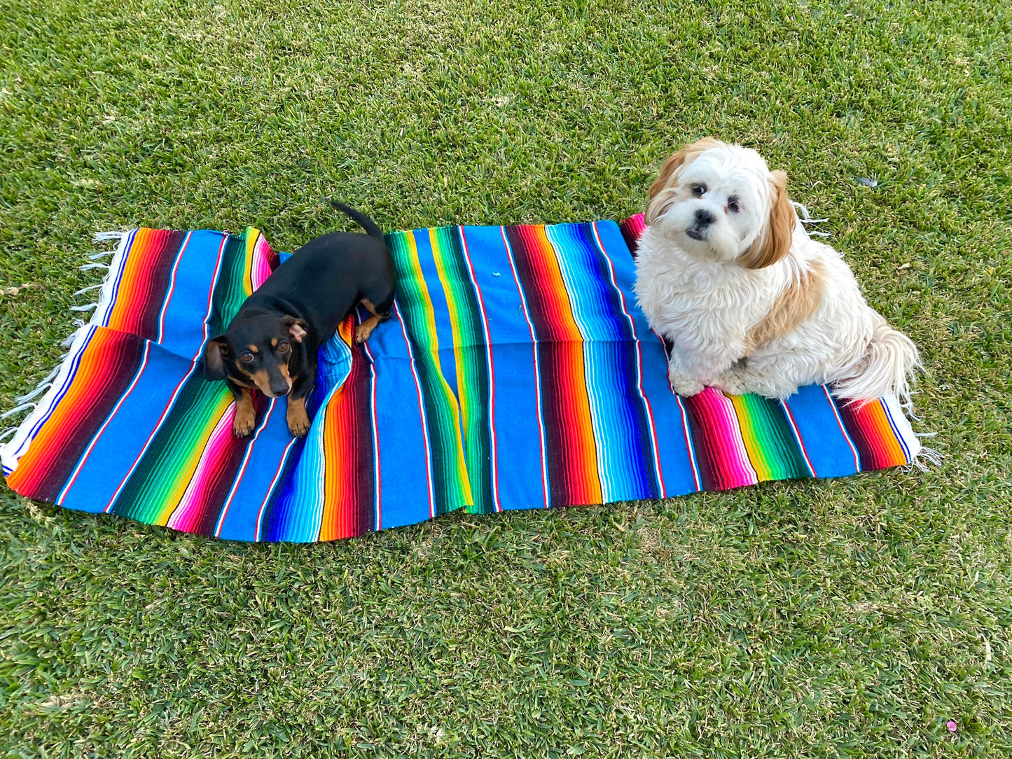 Sarape blanket