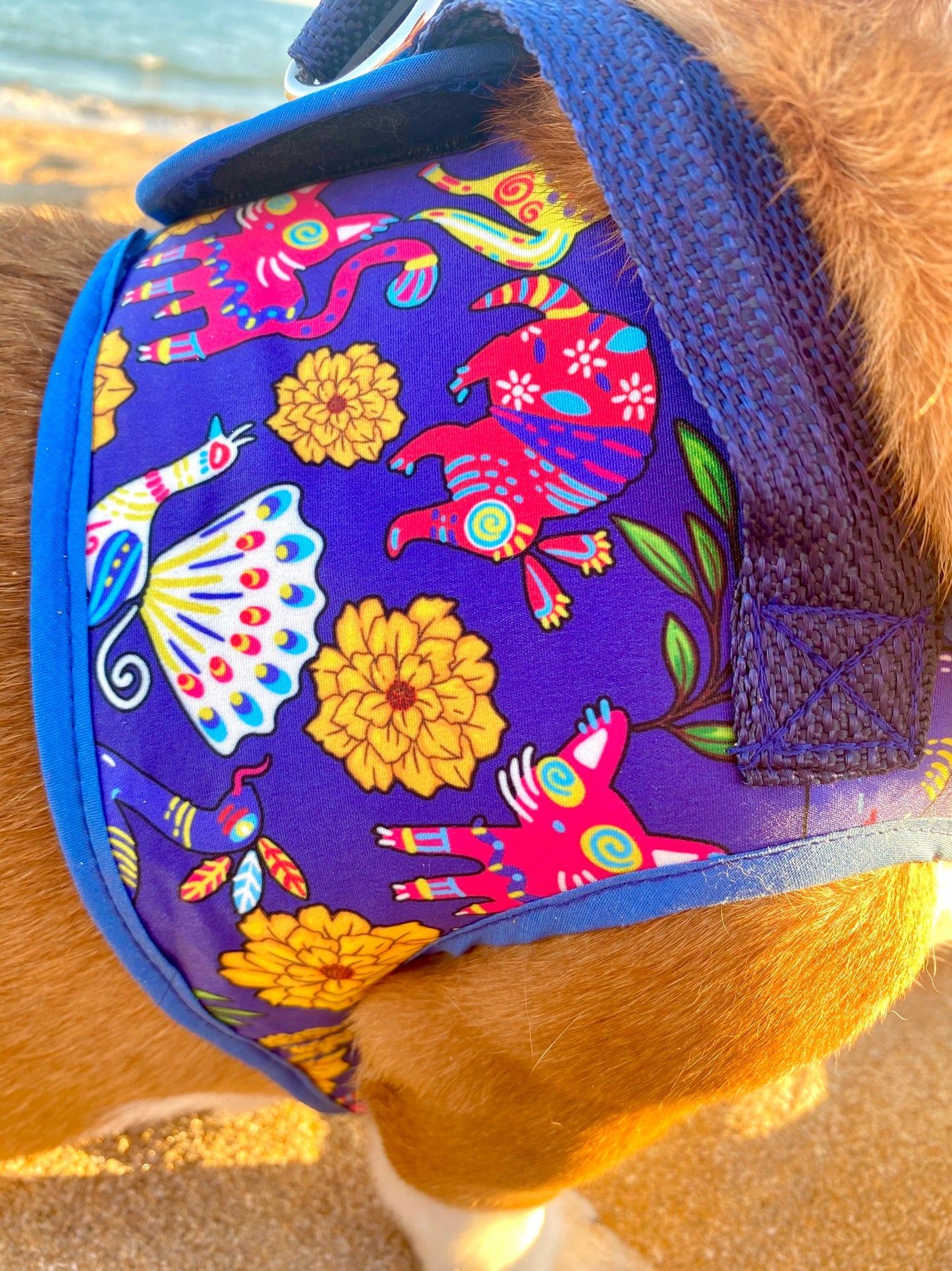 Step in Alebrijes harness