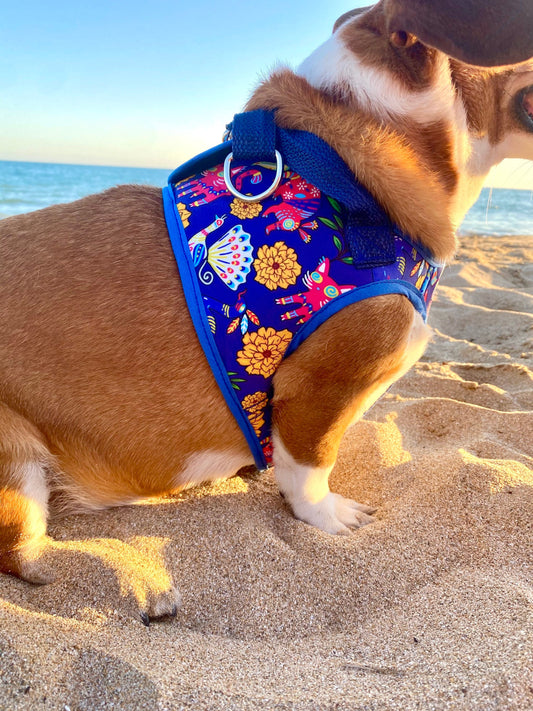 Step in Alebrijes harness