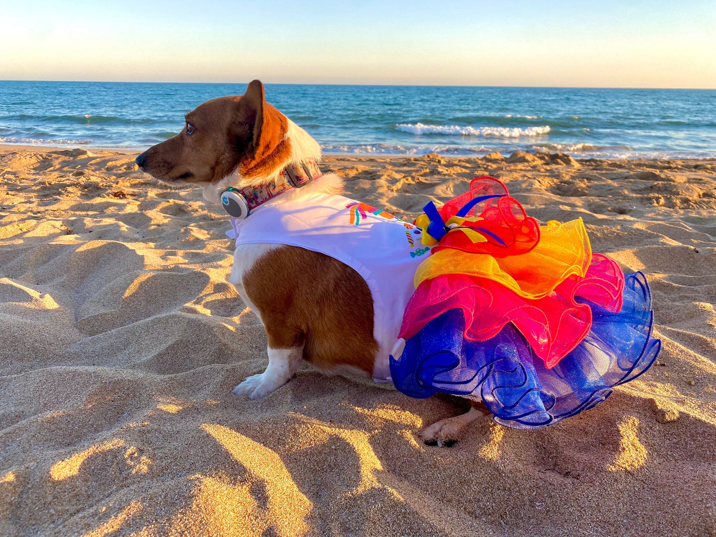 Piñata Dress