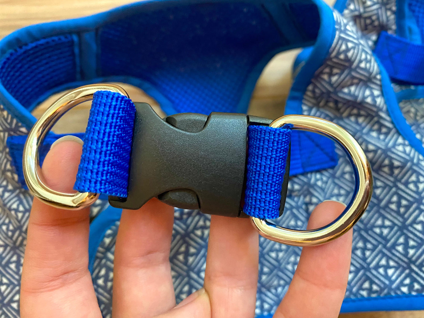 Step in grecas harness