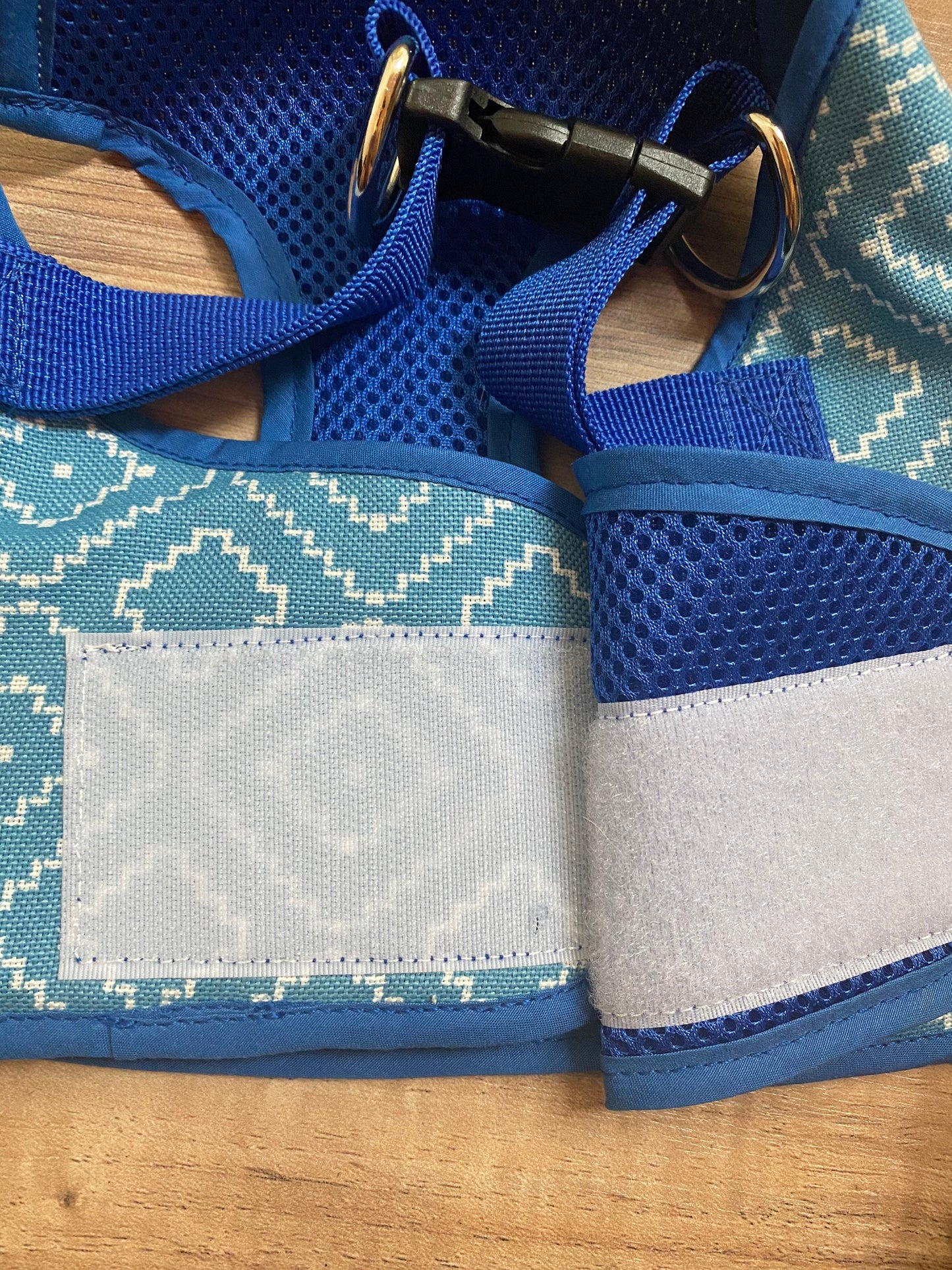 Step in Aztec harness