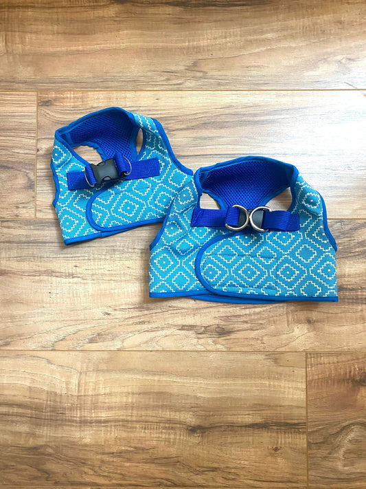 Step in Aztec harness