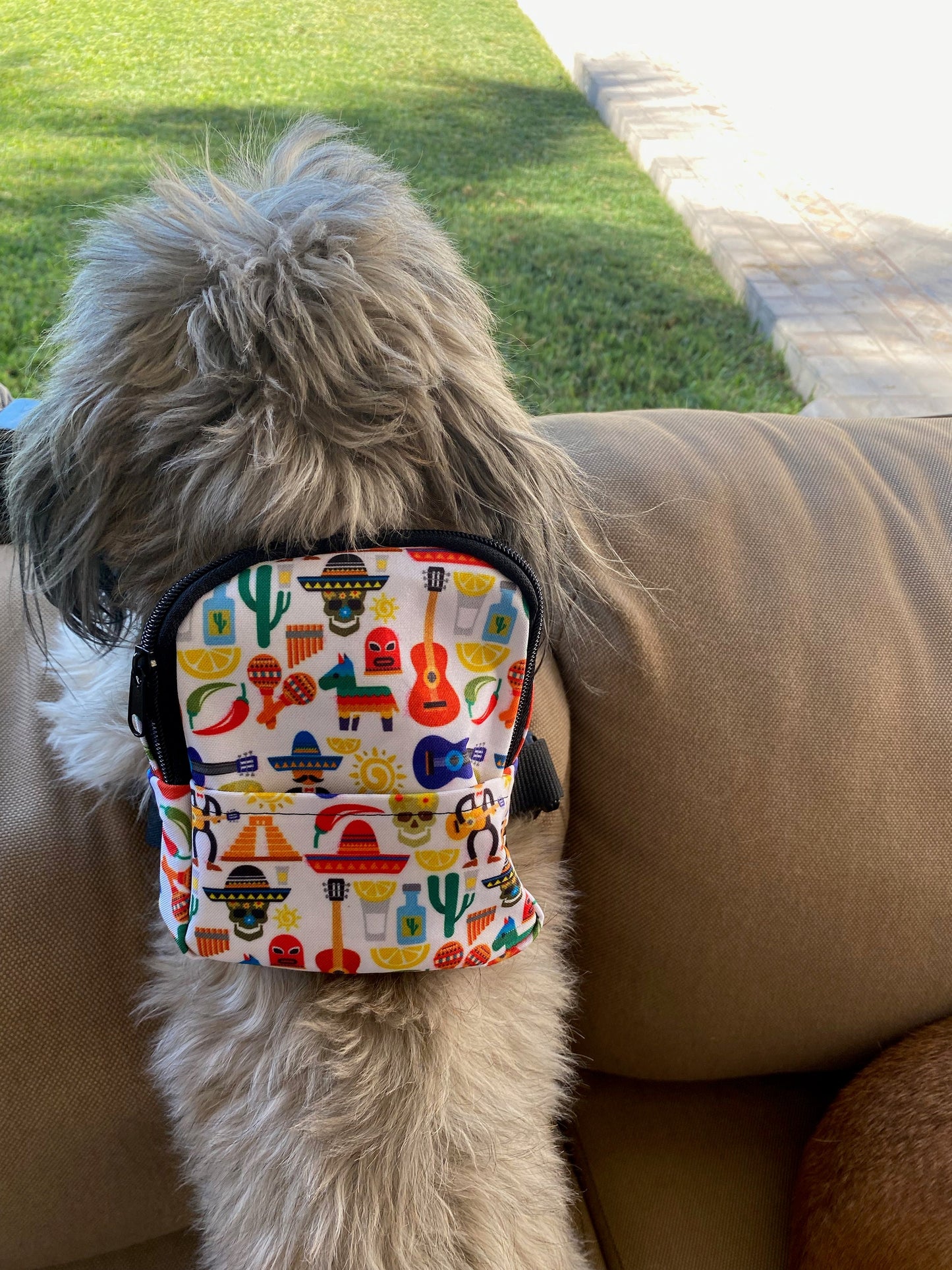 Fiesta Backpack